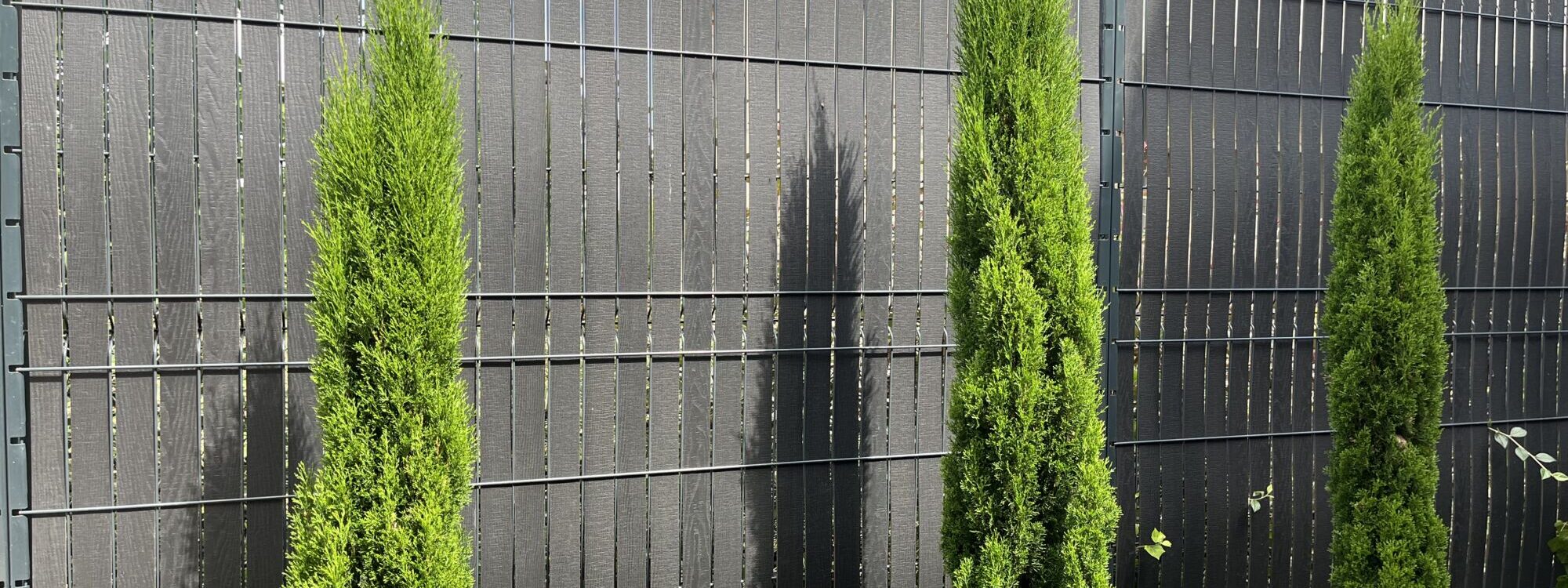 Quels crit&egrave;res pour choisir vos panneaux rigides ? Erstein