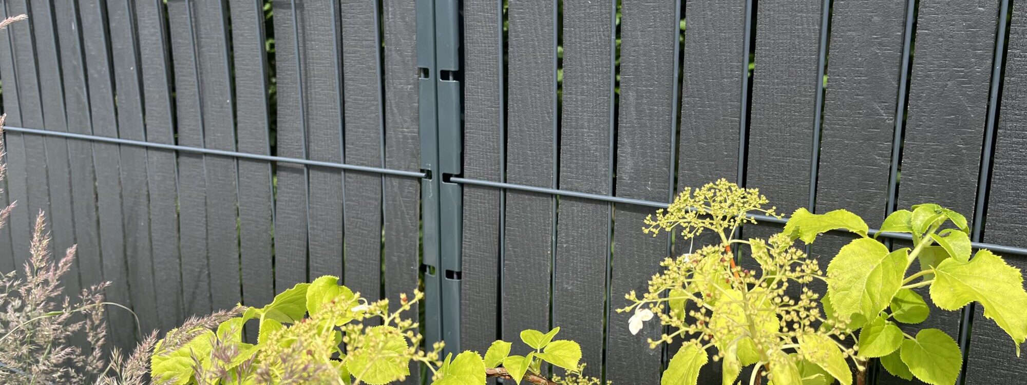 IMG_9771 2000X750 | Destock Menuiserie Quels sont les avantages des panneaux rigides pour votre extérieur ? Schiltigheim